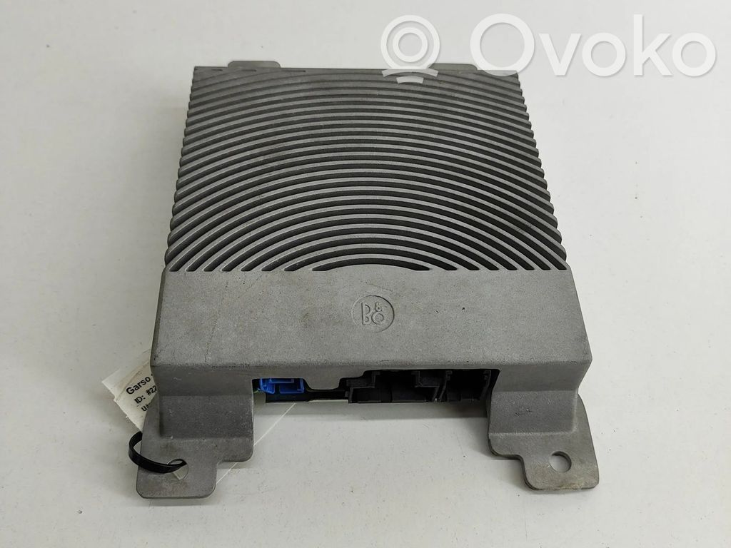 Ford Puma Sound amplifier 