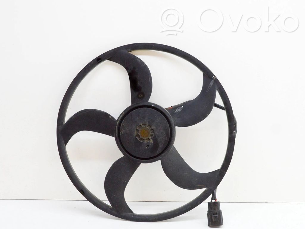 Fan impeller   3136613357