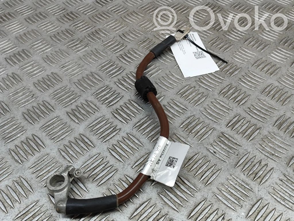 Porsche Taycan 9J1 Negative earth cable (battery) 