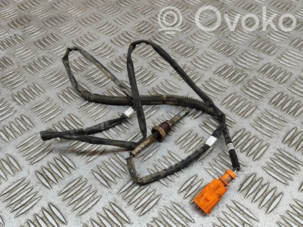 Volkswagen Amarok Tepalo temperatūros matuoklis 