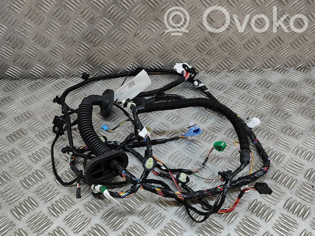 Cableado de puerta delantera   306796302C