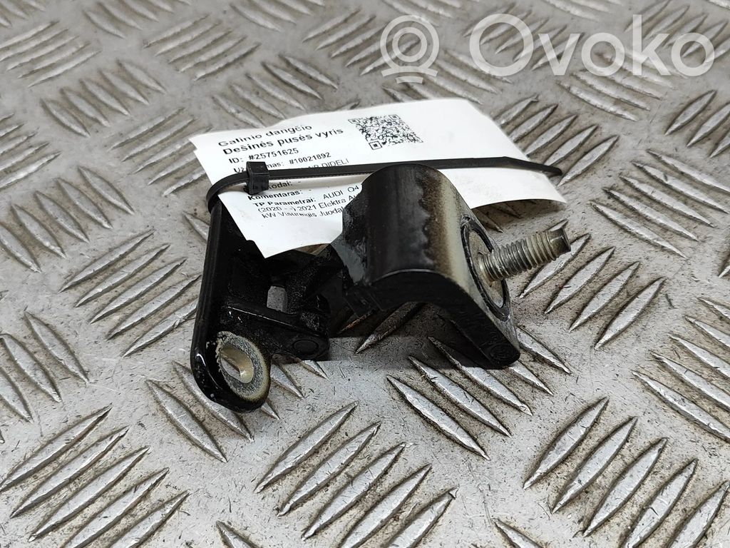 Tailgate/trunk/boot hinge   8V3827299B