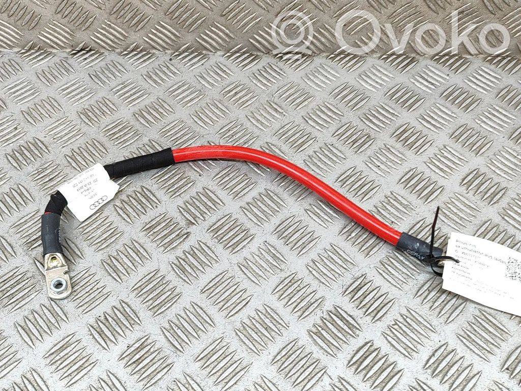 Audi RS6 C8 Cable positivo (batería) 