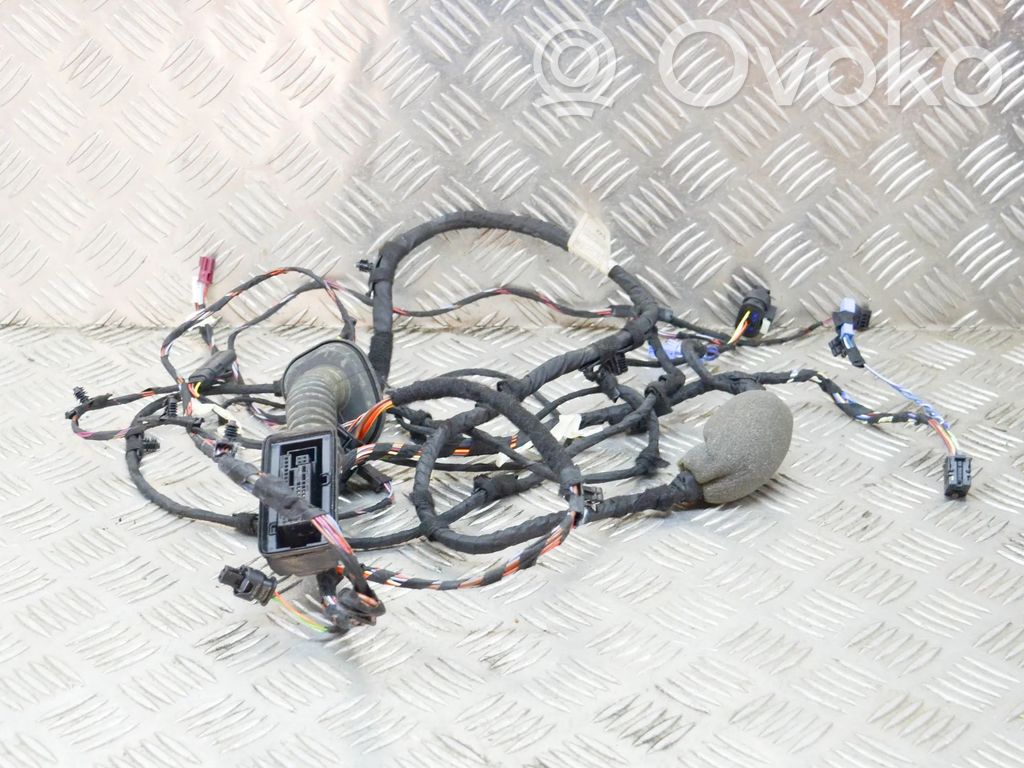 BMW X3M F97 Cableado de puerta delantera 