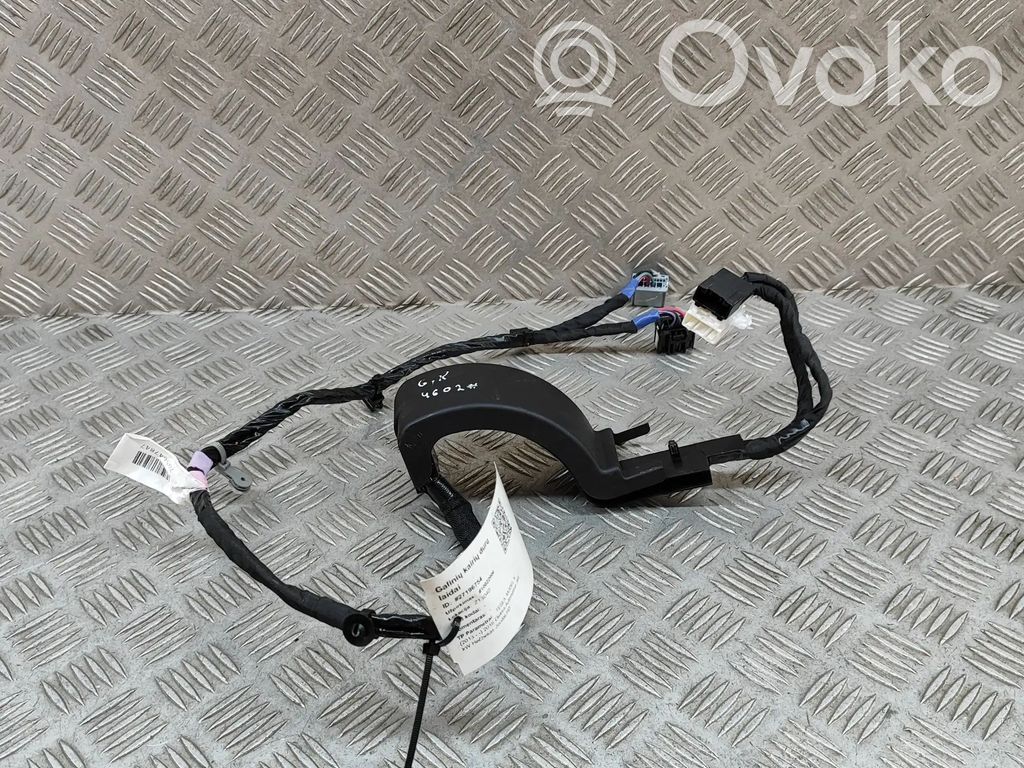 Tesla Model X Cableado de puerta trasera 