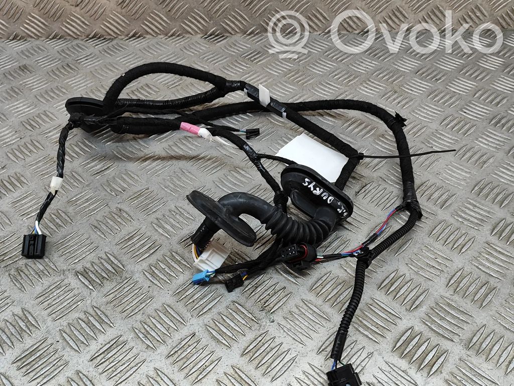 Tesla Model 3 Cableado de puerta trasera 