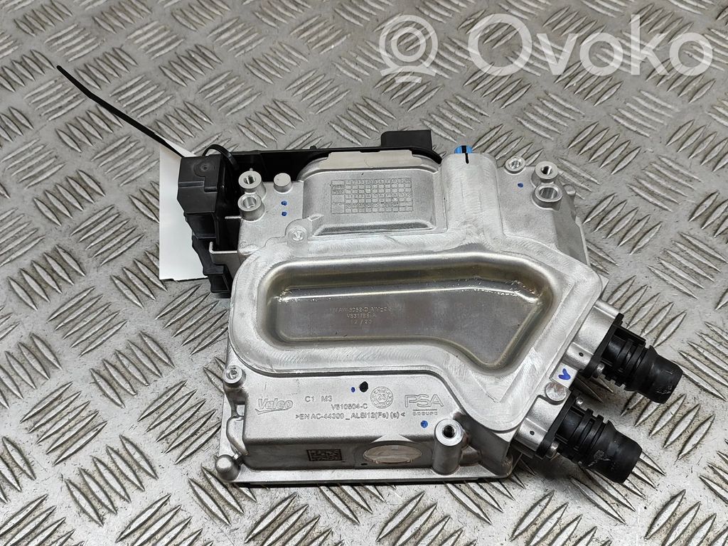 Peugeot 2008 II Sonstige Steuergeräte / Module 