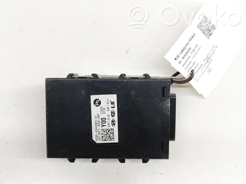 KIA Soul Light module LCM 