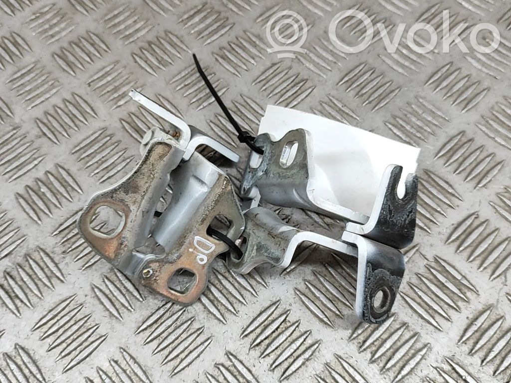 Tesla Model 3 Front door hinges set 