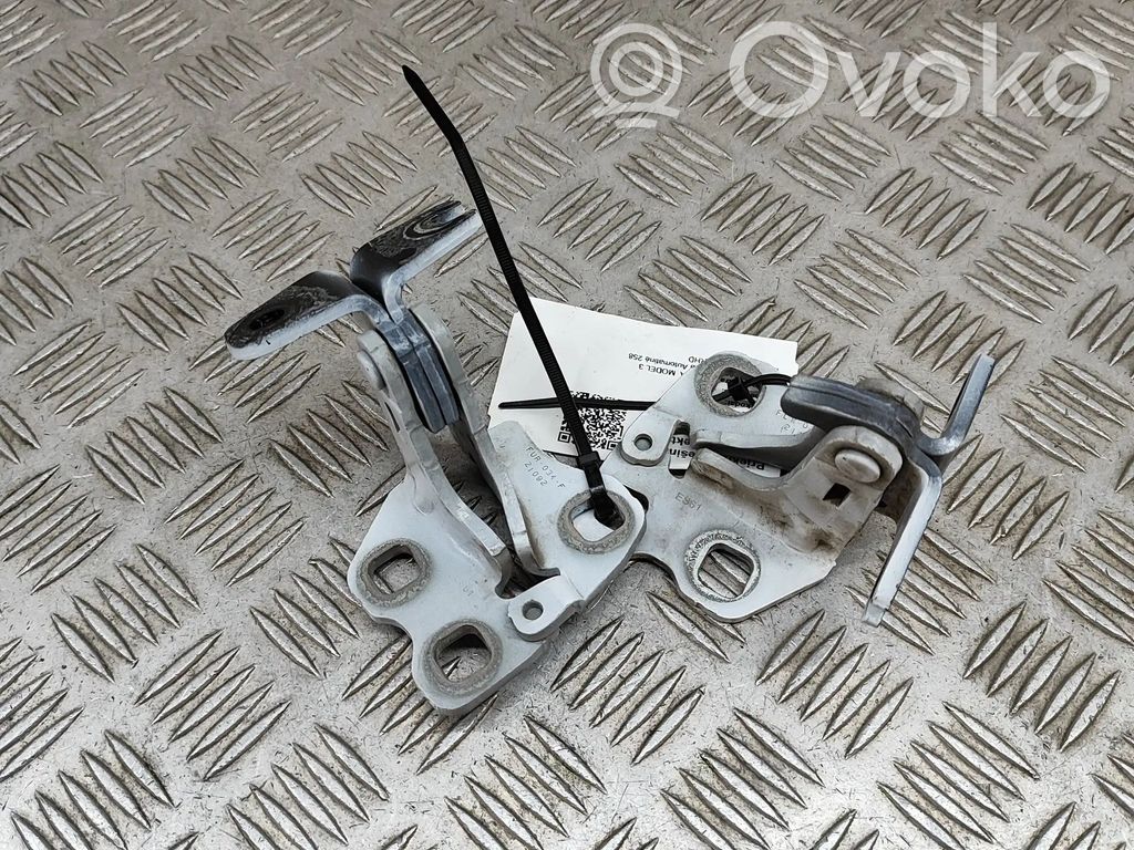 Tesla Model 3 Front door hinges set 