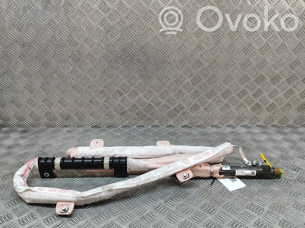 Airbag del techo   85020G5000