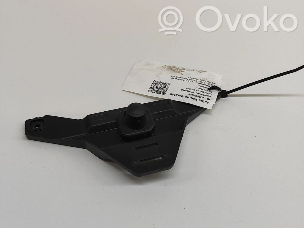 Audi Q4 e-tron Other body part 