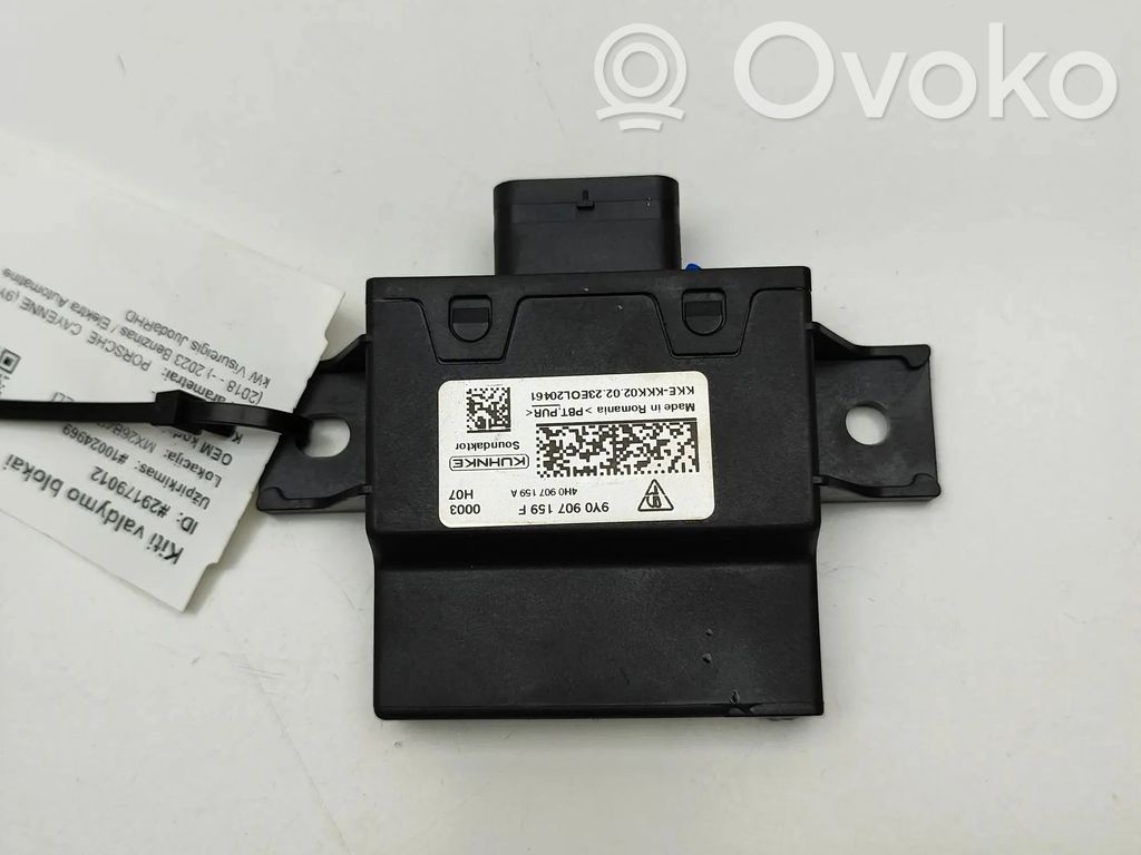 Porsche Cayenne (9Y0 9Y3) Autres unités de commande / modules 