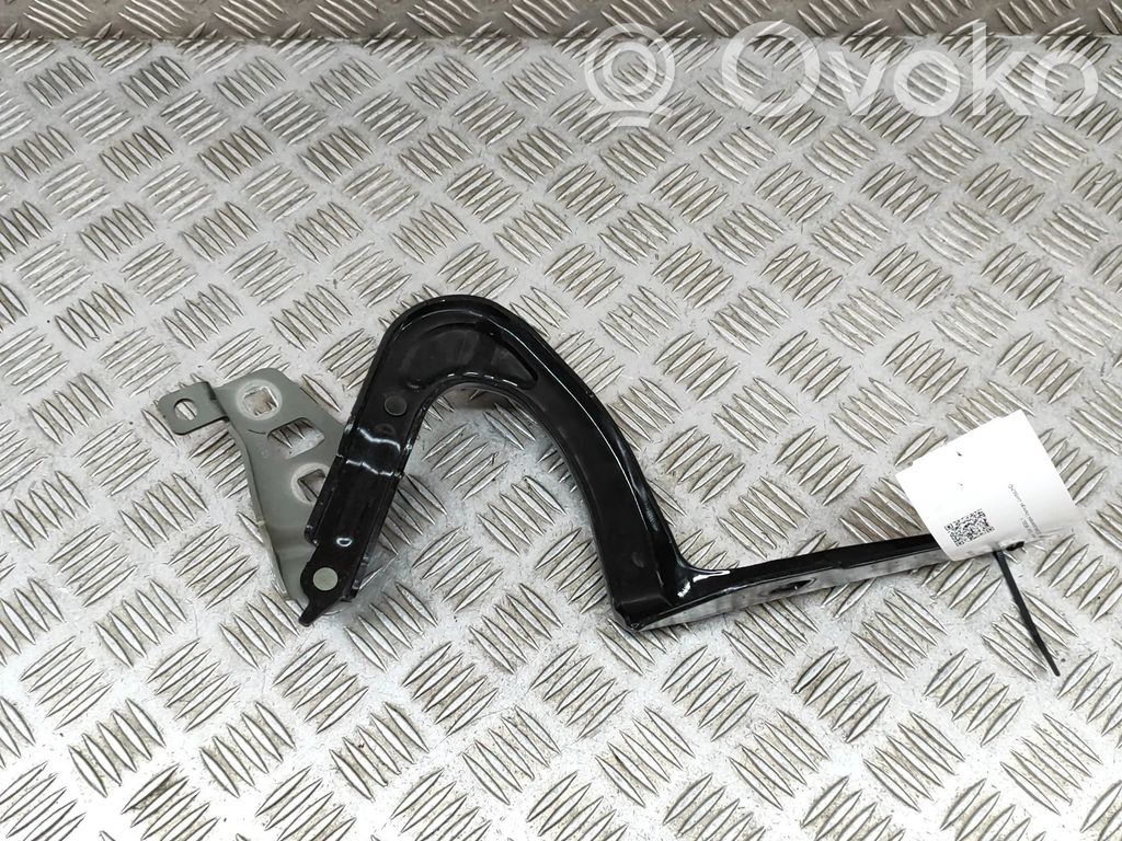 Tesla Model Y Engine bonnet/hood hinges 