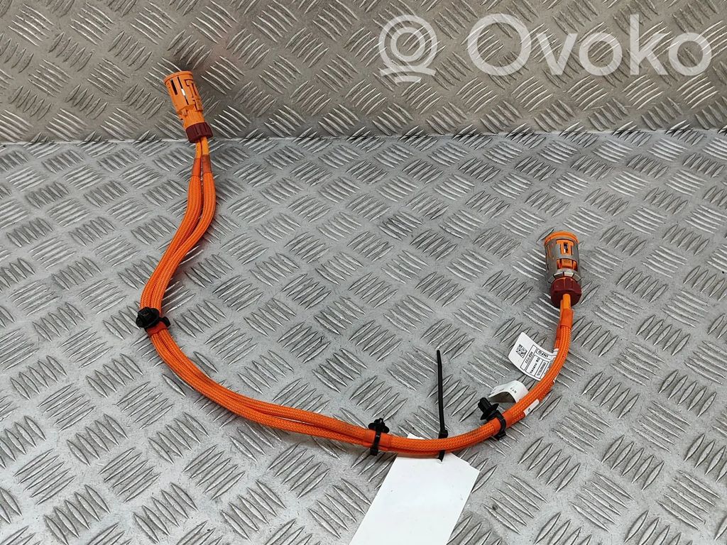 BMW X2 U10 Other wiring loom 