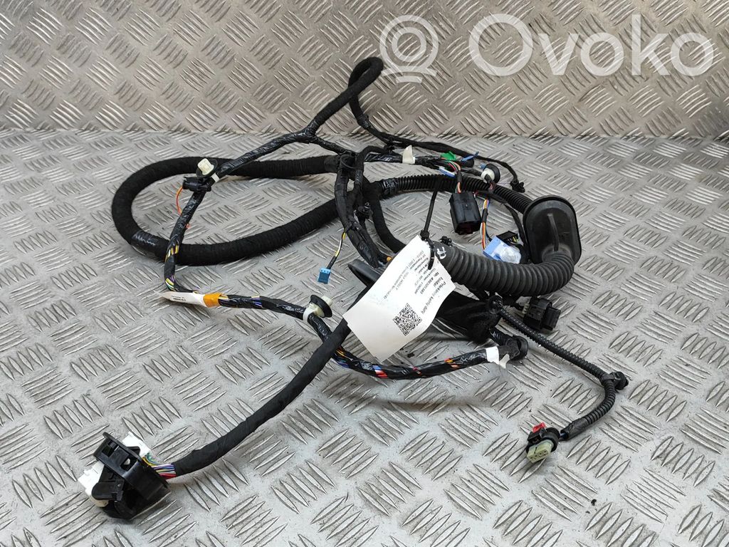 Tesla Model Y Cableado de puerta delantera 