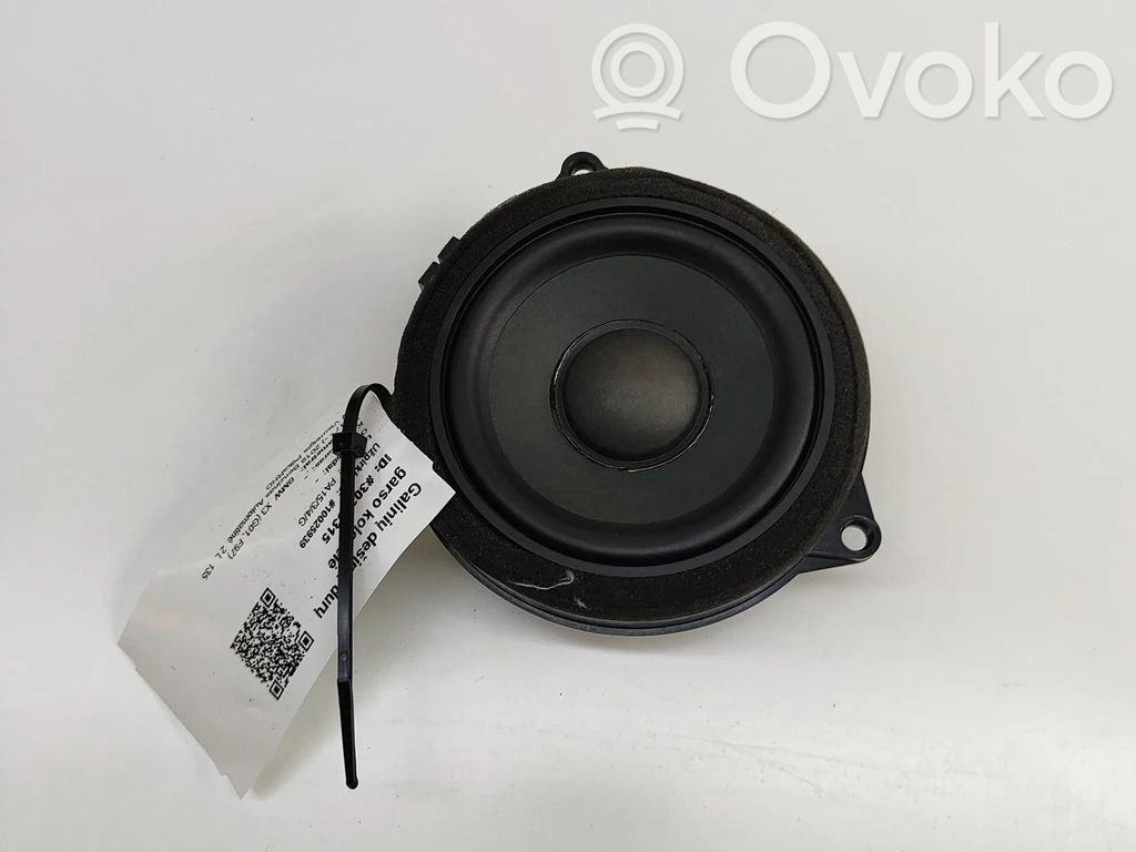 BMW X3 G01 Altoparlante portiera posteriore 