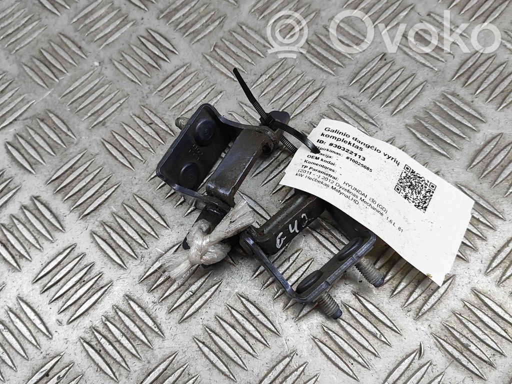 Hyundai i30 Tailgate/trunk/boot hinge 