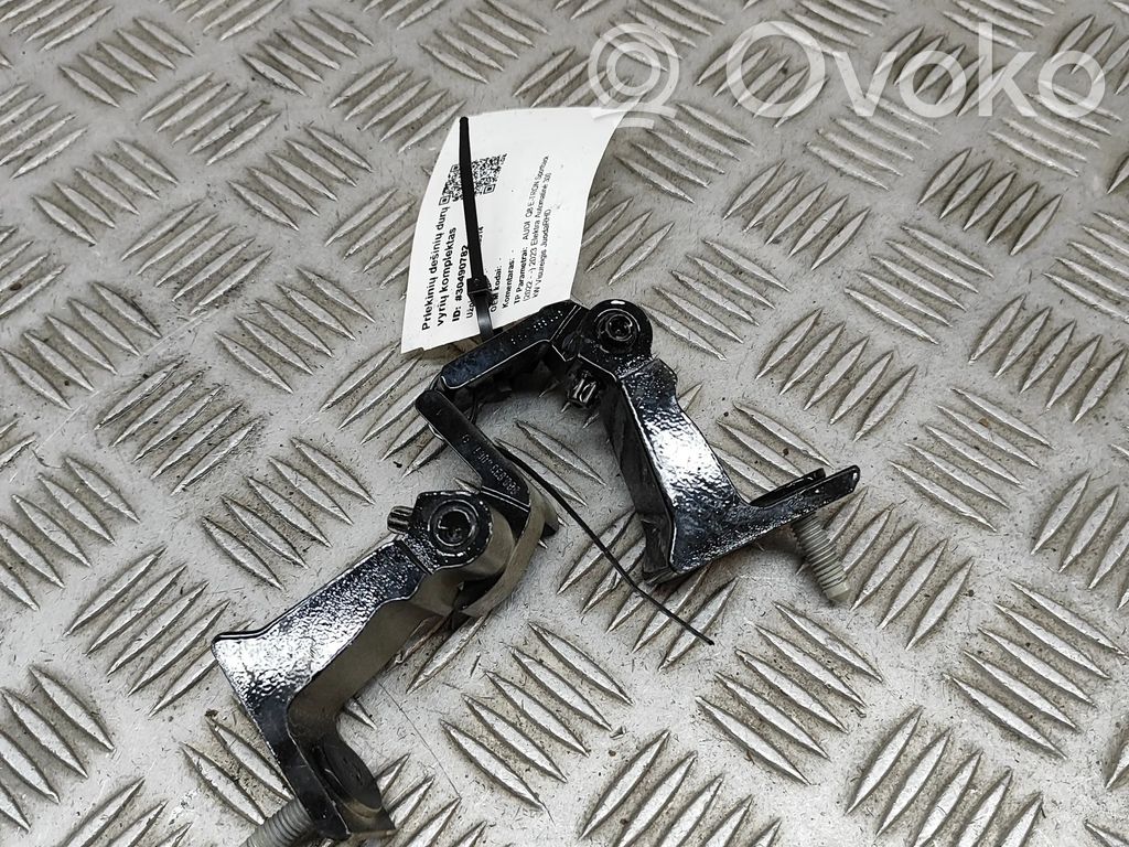 Audi Q8 e-tron Front door hinges set 
