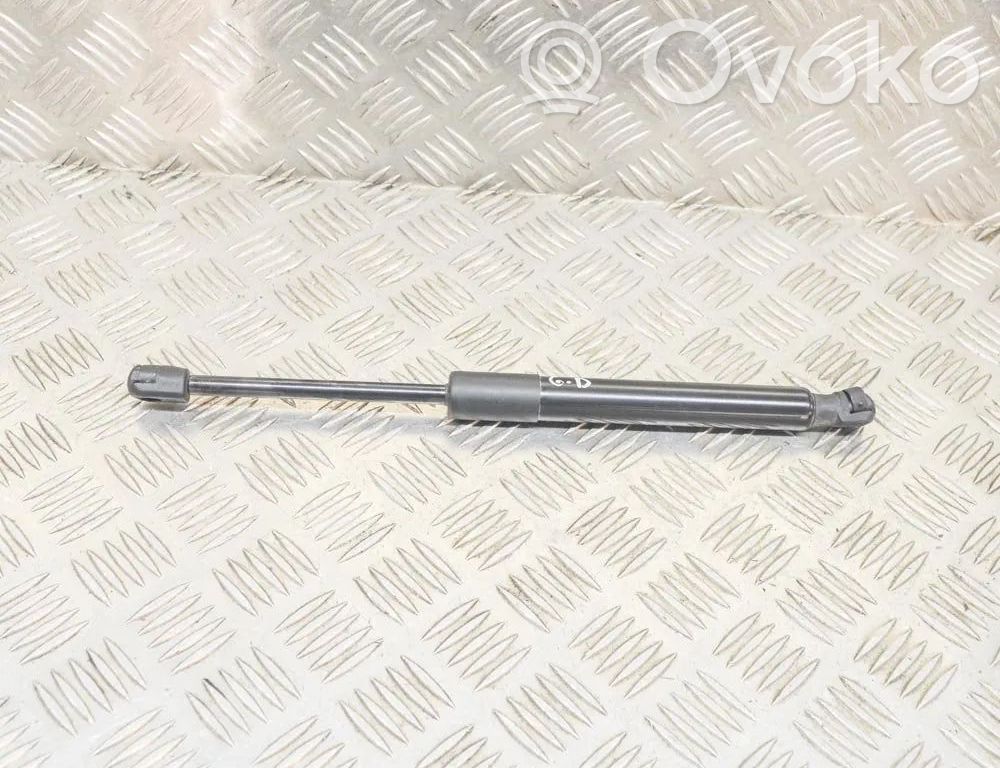 Tesla Model 3 Tailgate/trunk strut/damper 