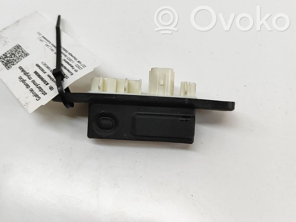 Lexus RX V Tailgate/boot open switch button