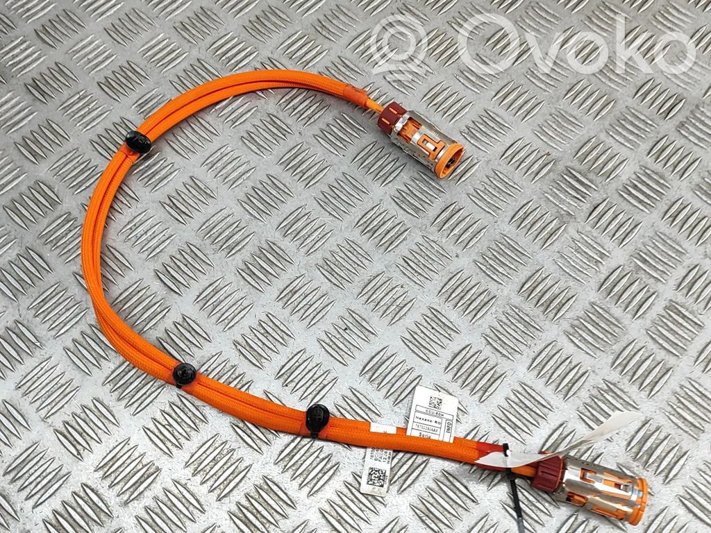 BMW X2 U10 Other wiring loom 
