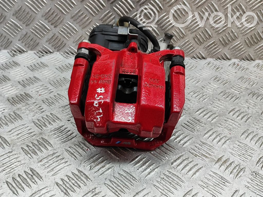 Takajarrusatula   8836841