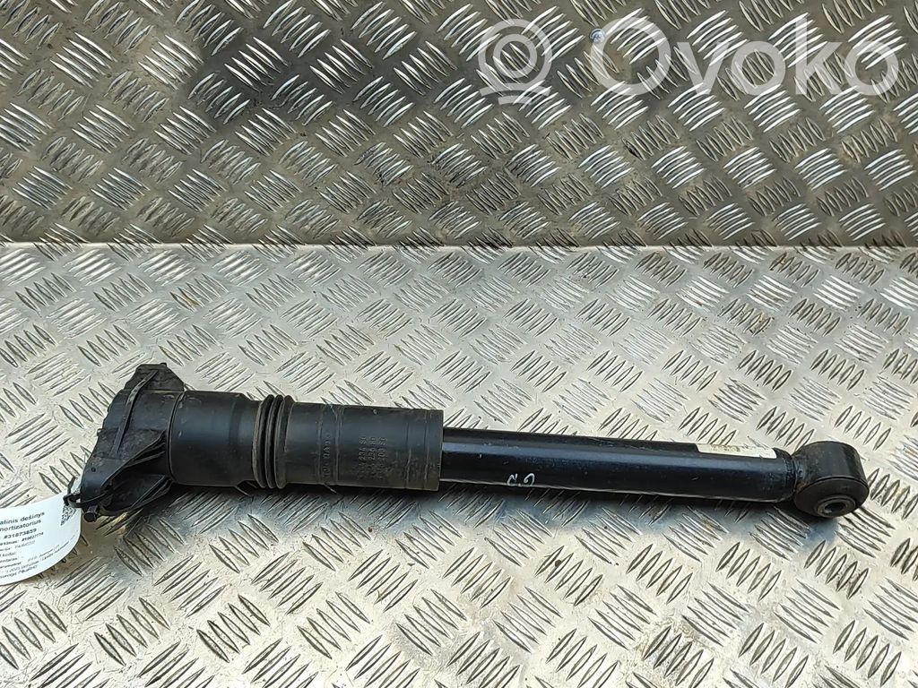 Jeep Avenger Amortizor spate 