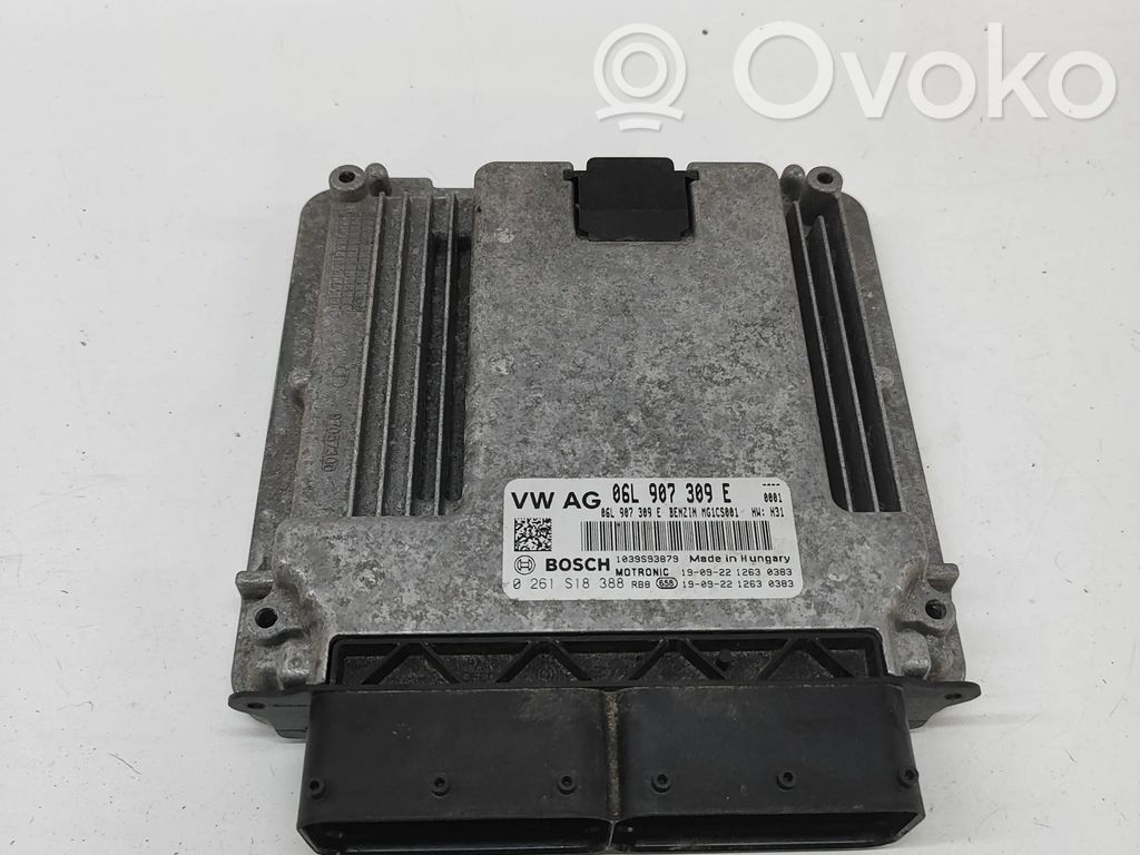 Engine control unit/module   0261S18388,06L907309E