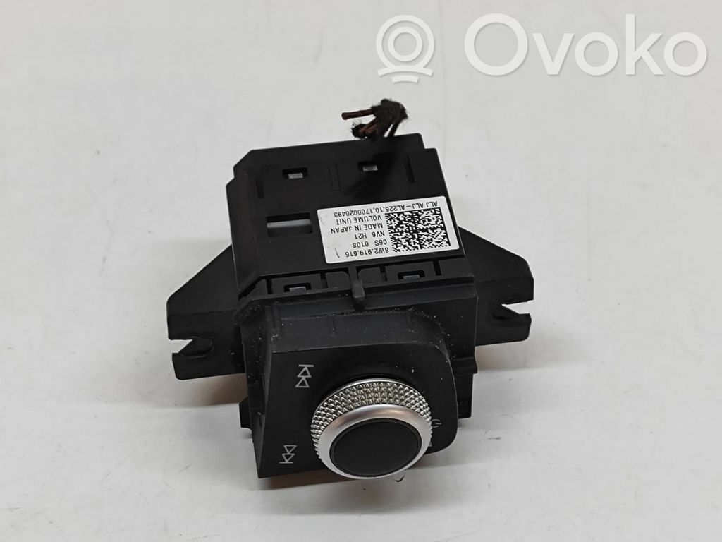 Interruttore di controllo dell’audio   8W2919616