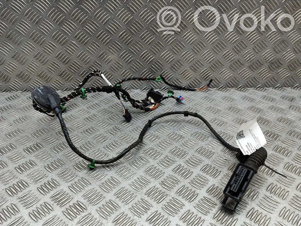 Volkswagen PASSAT B8 Cableado de puerta delantera 