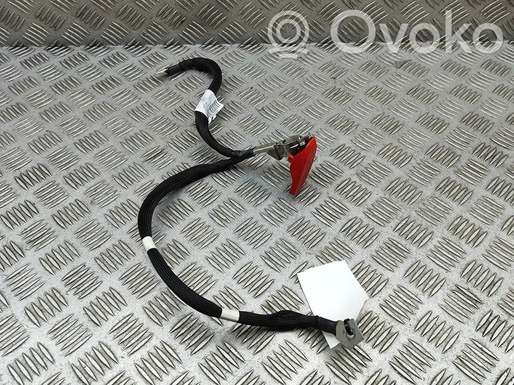 Pluskaapeli (akku)   9835379180