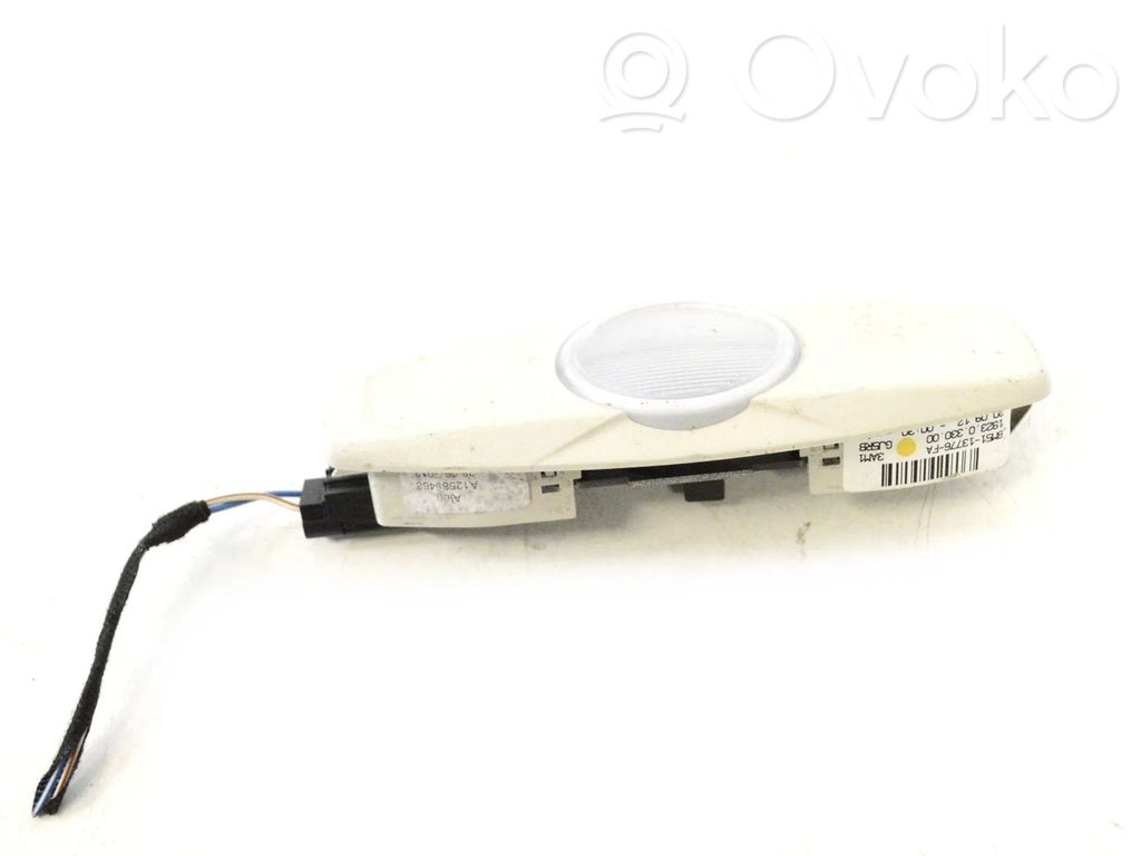 Ford Focus Front seat light 