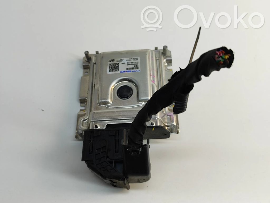 Hyundai IONIQ 6 Engine control unit/module 