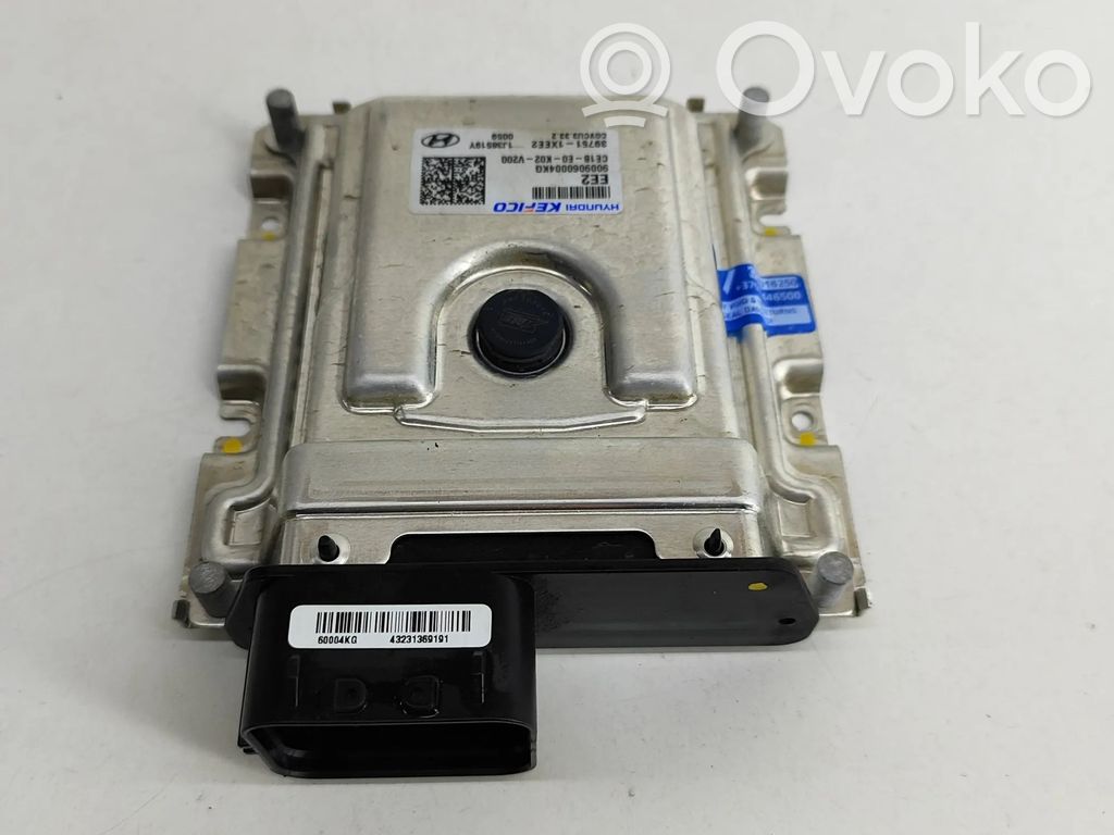 Hyundai IONIQ 6 Engine control unit/module 