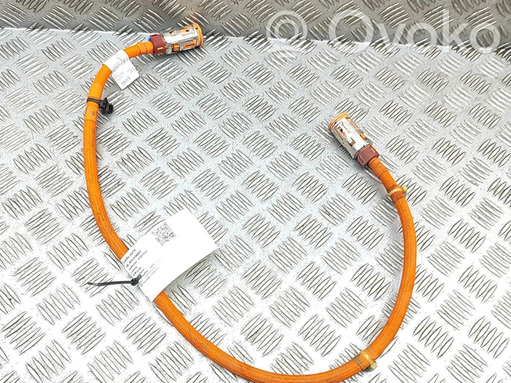 BMW iX3 G08 Otros cableados 