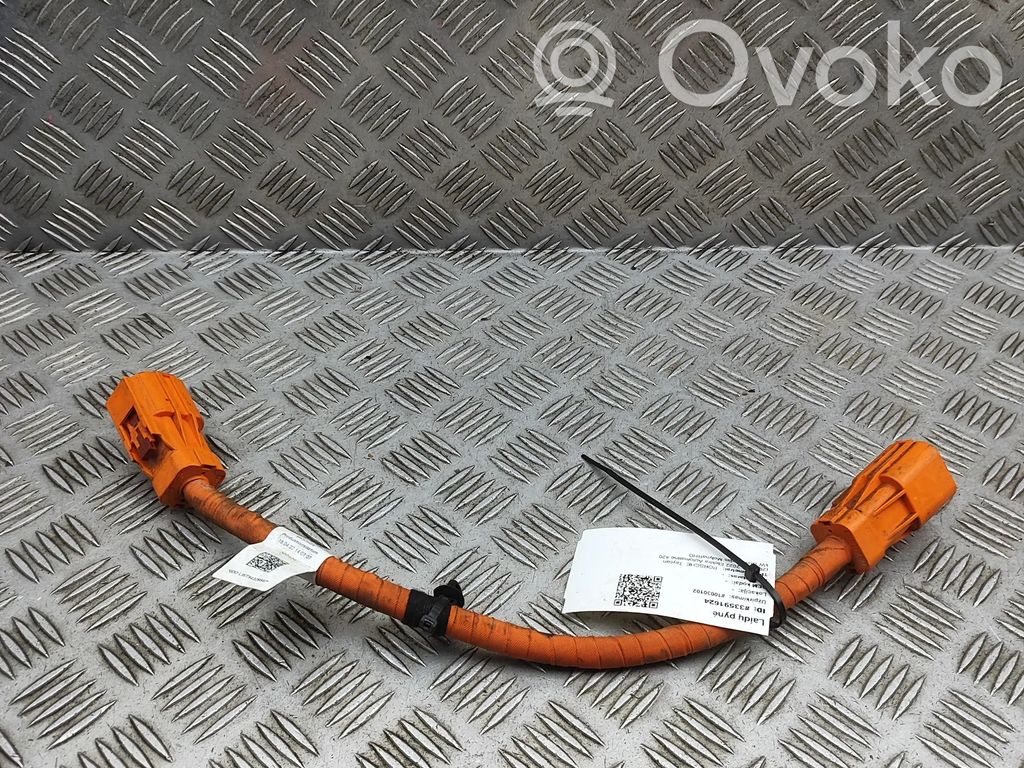 Porsche Taycan 9J1 Alte cablaje 