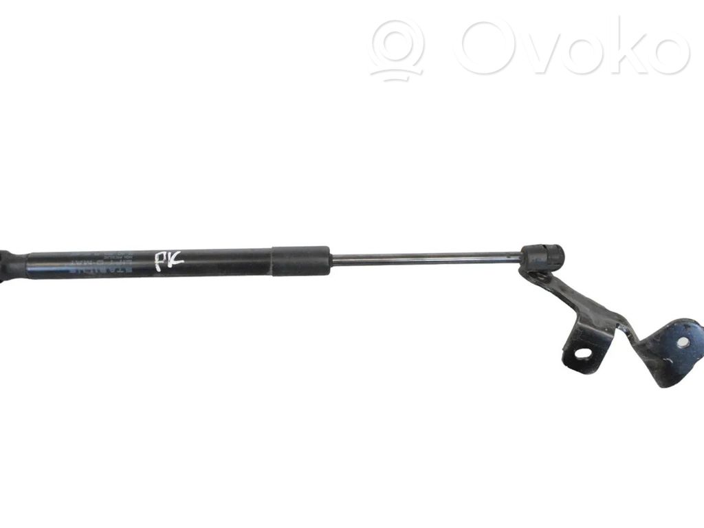 Tesla Model 3 Amortizor capotă motor 