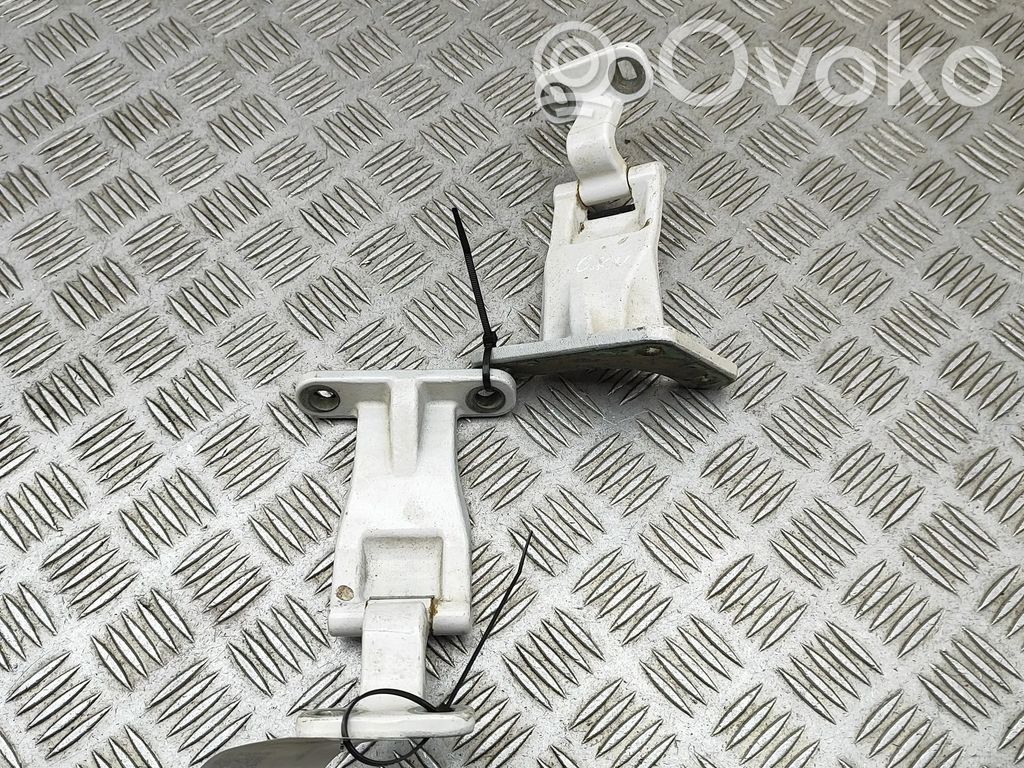 Volkswagen Caddy Rear door hinge set 