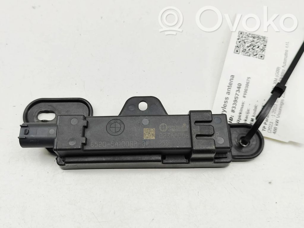 Antenne des Keyless-Systems   5A1D0B2