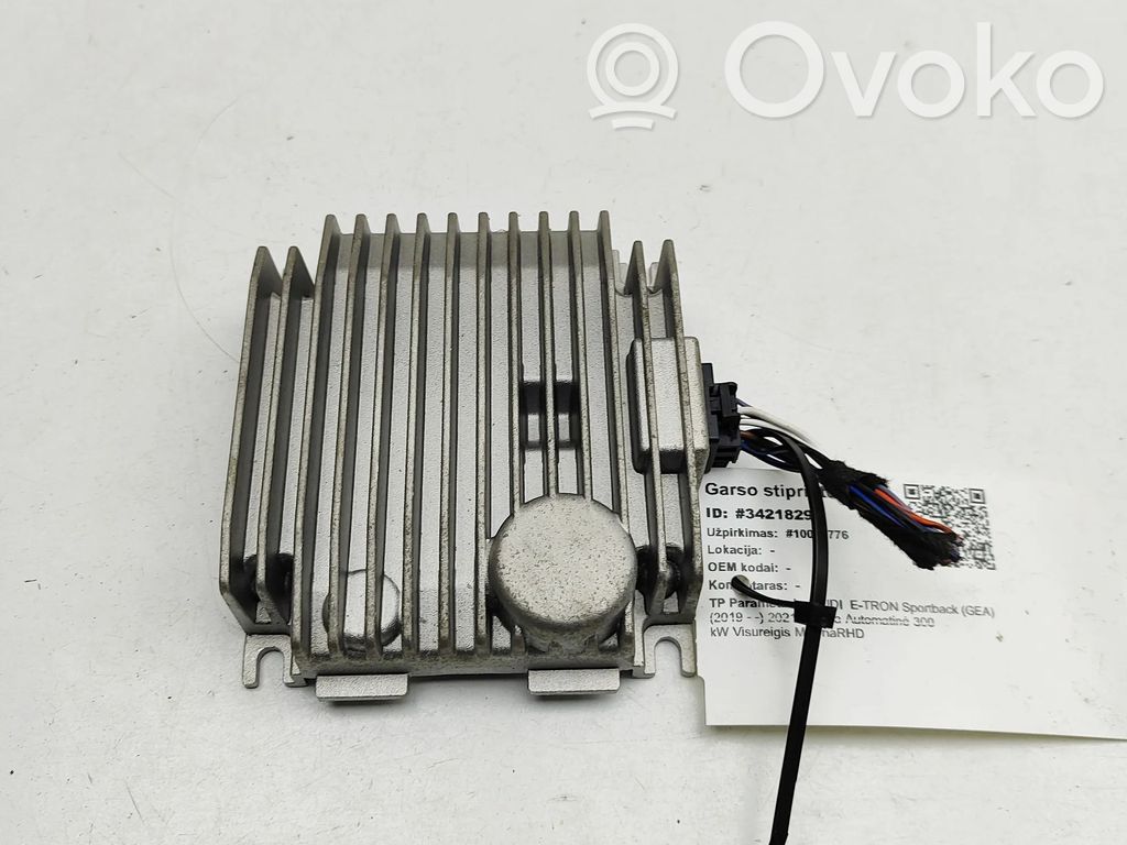 Audi e-tron Sound amplifier 