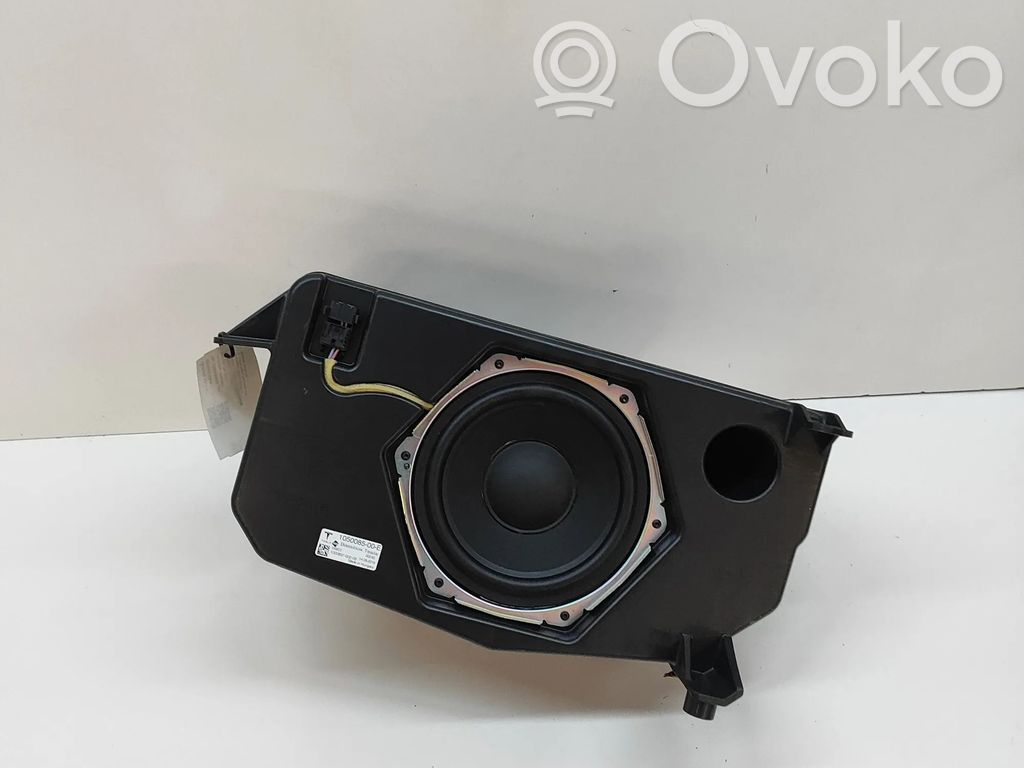 Altavoz subwoofer   105008500E
