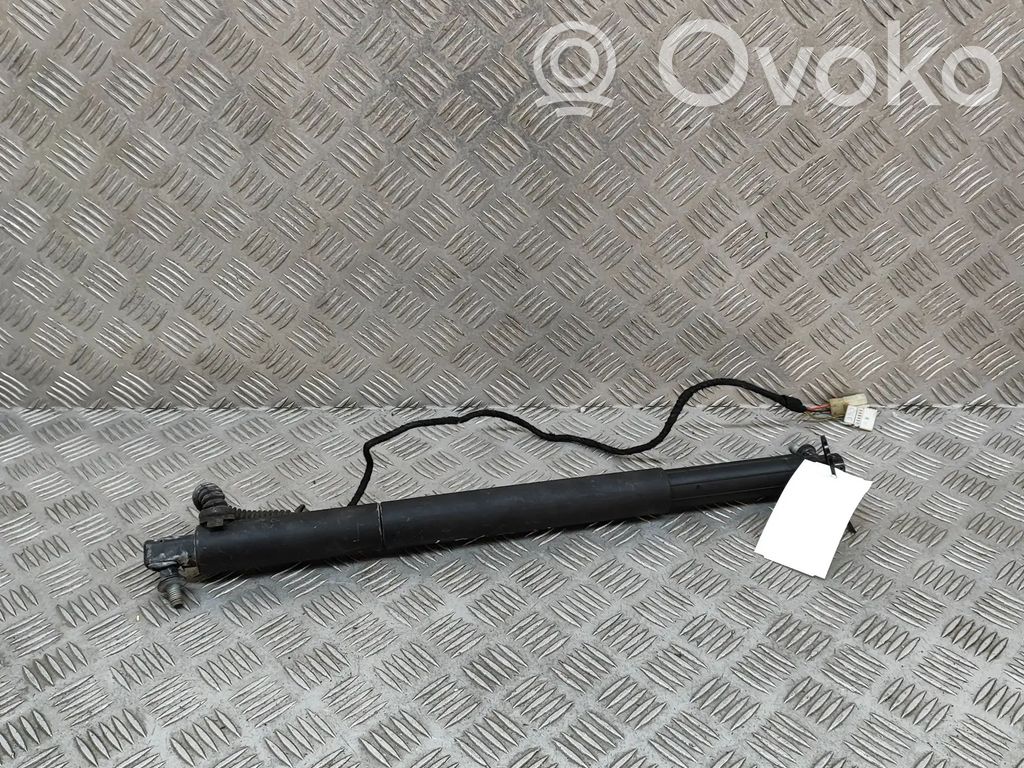 BMW X6 E71 Amortiguador/puntal del maletero/compartimento de carga 