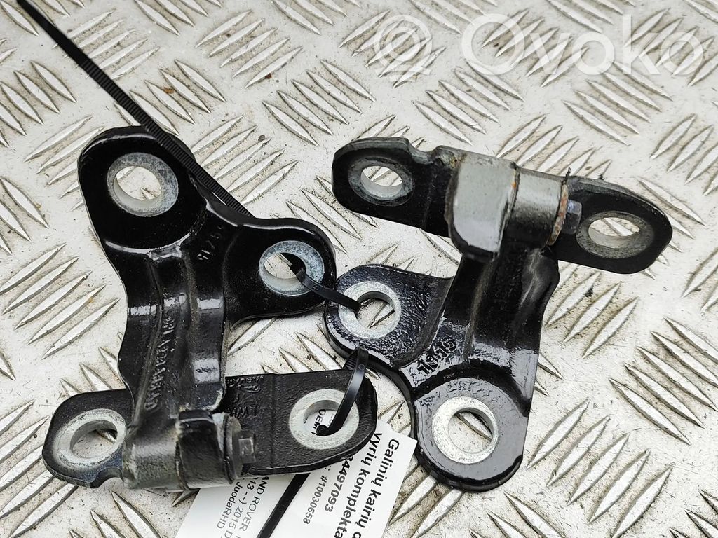 Land Rover Range Rover Sport L494 Set di cerniere portiera posteriore 