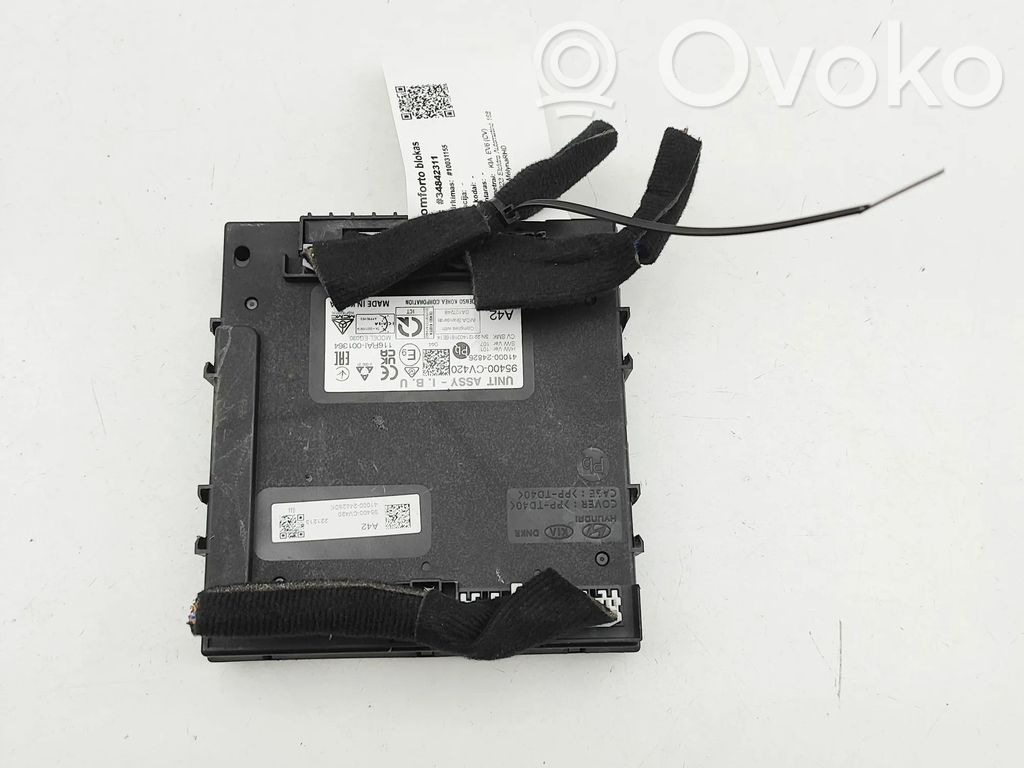 KIA EV6 Central body control module 