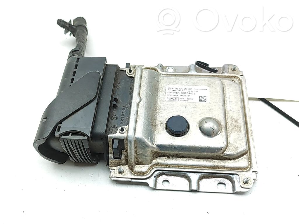 Ford Transit VII Unidad de control adblue 
