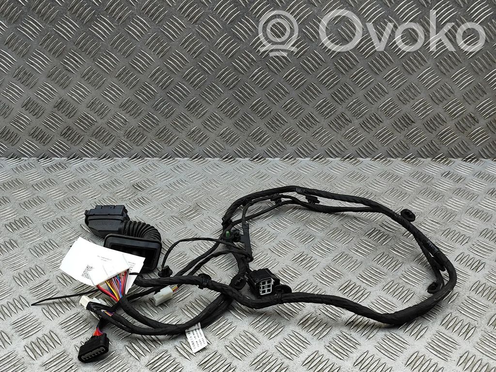 Cableado de puerta delantera   4002201XNW13A