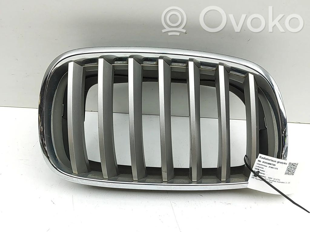 BMW X5 E70 Front grill 