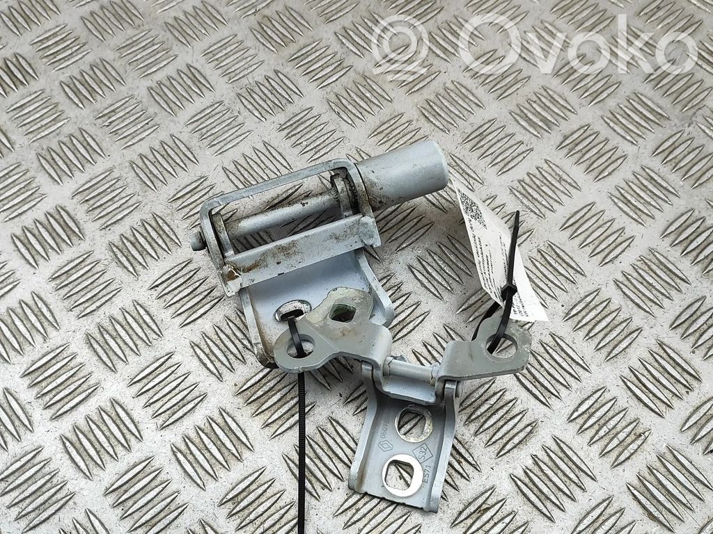 Renault Zoe Front door hinges set 