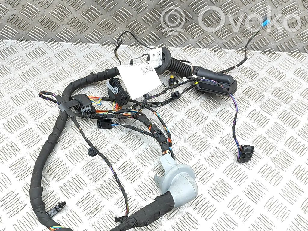 BMW 5 G60 G61 Cableado de puerta delantera 